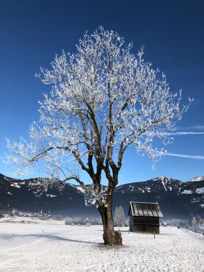 Dachstein Mountainview Gosau Exterior foto