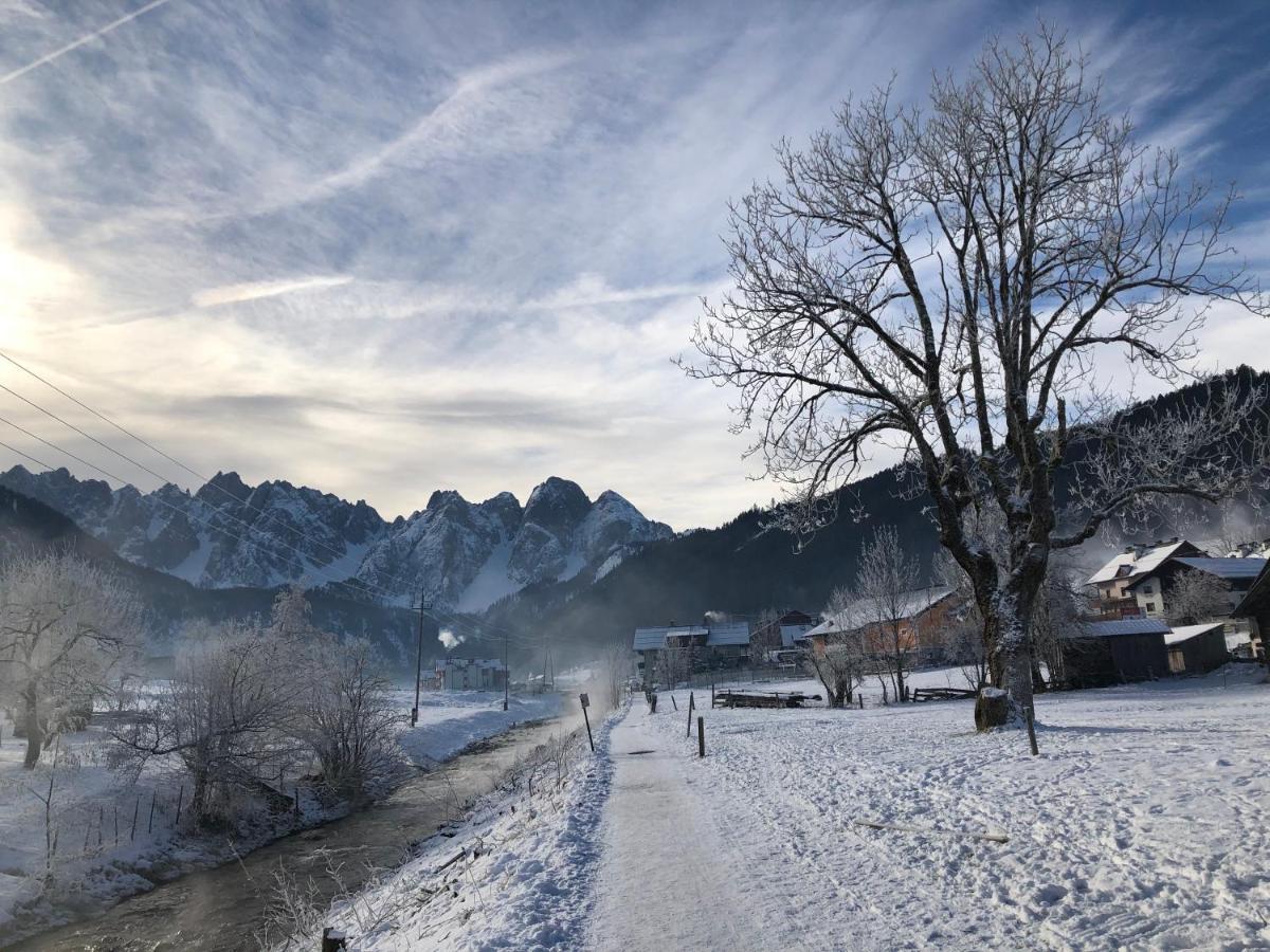 Dachstein Mountainview Gosau Exterior foto