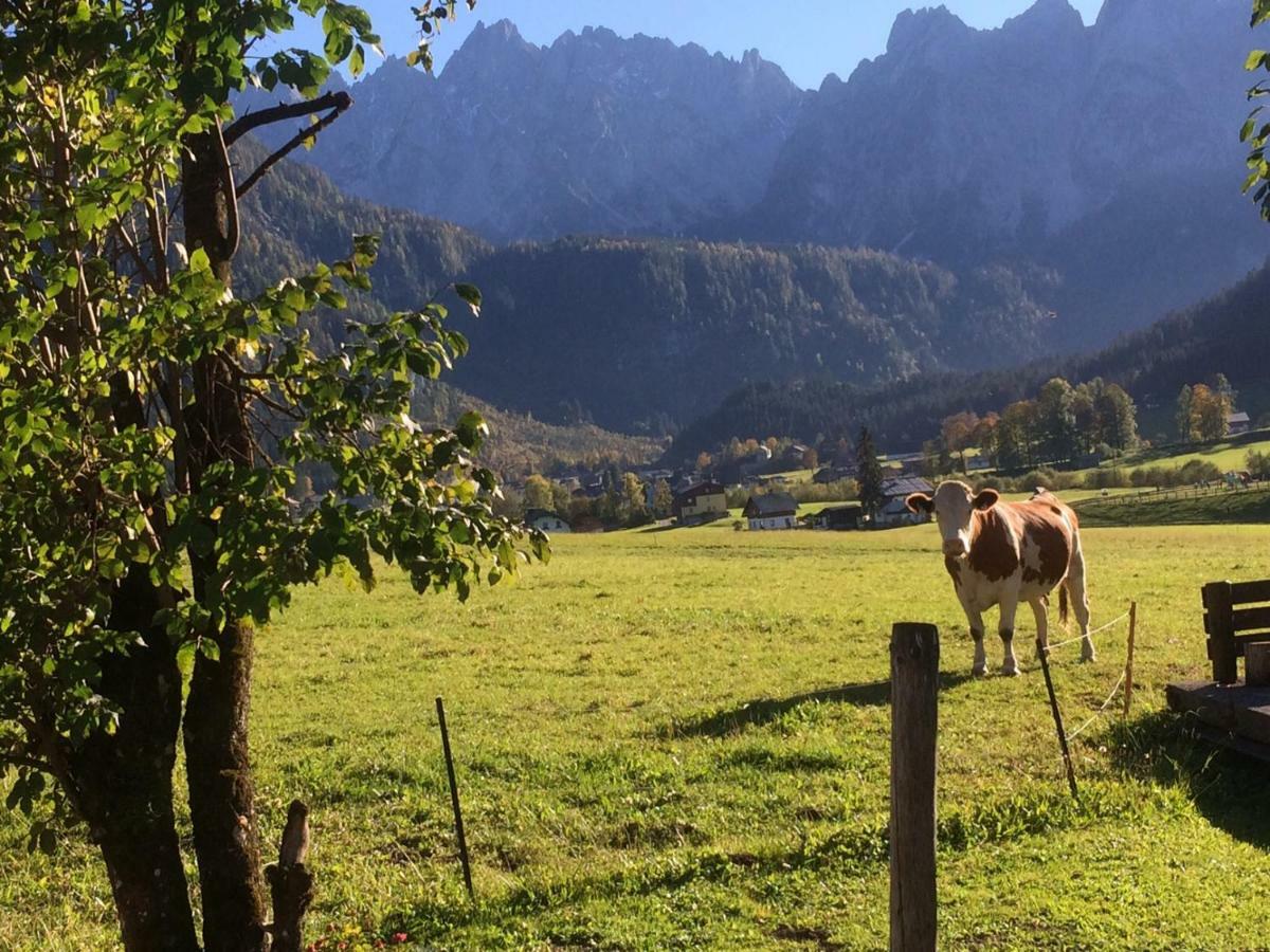 Dachstein Mountainview Gosau Exterior foto
