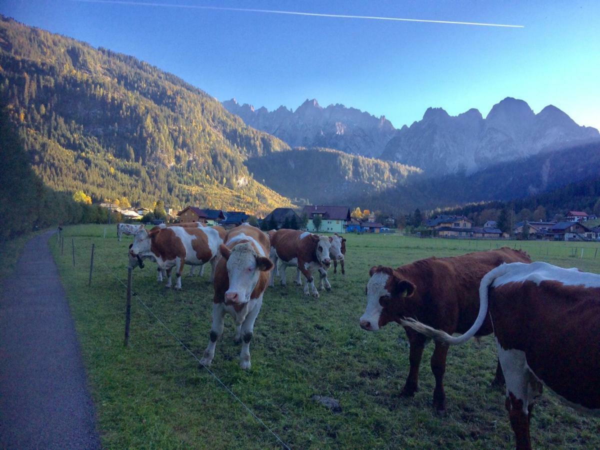 Dachstein Mountainview Gosau Exterior foto