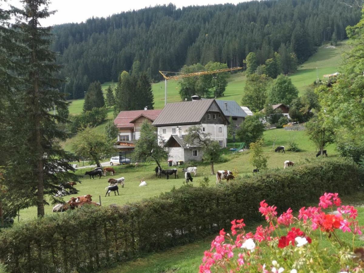 Dachstein Mountainview Gosau Exterior foto